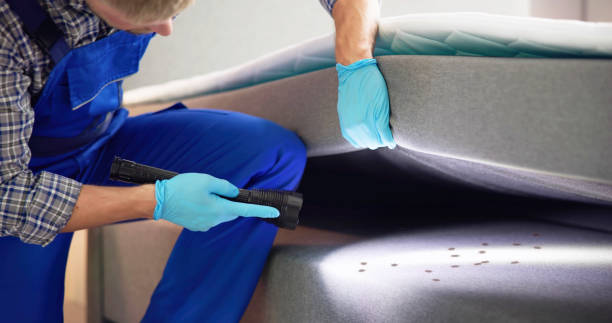 Best Exterminator Services  in Castleton On Hudson, NY