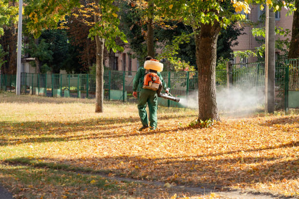 Best Pest Inspection Near Me  in Castleton On Hudson, NY