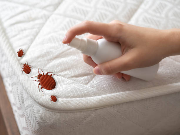 Best Commercial Pest Control Services  in Castleton On Hudson, NY