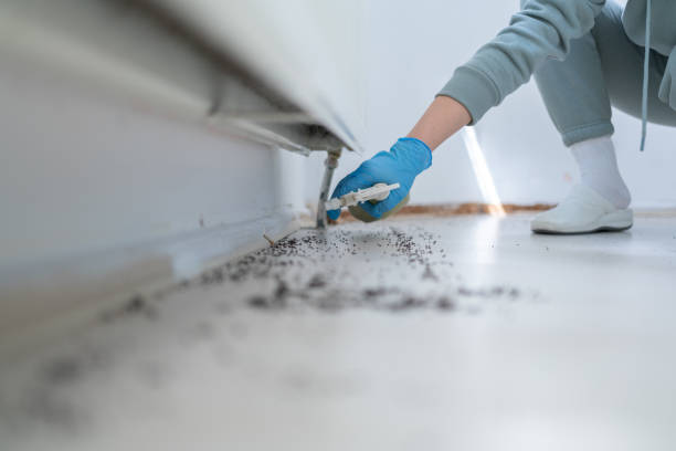 Best Pest Prevention Services  in Castleton On Hudson, NY